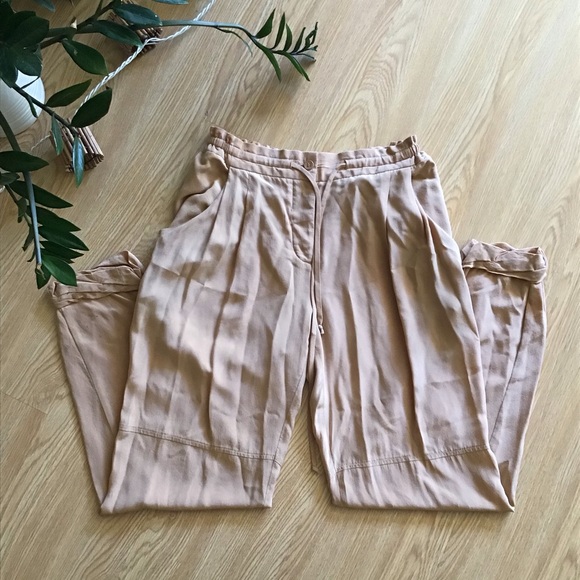 Aritzia Pants - Wilfred 100% silk trouser pants